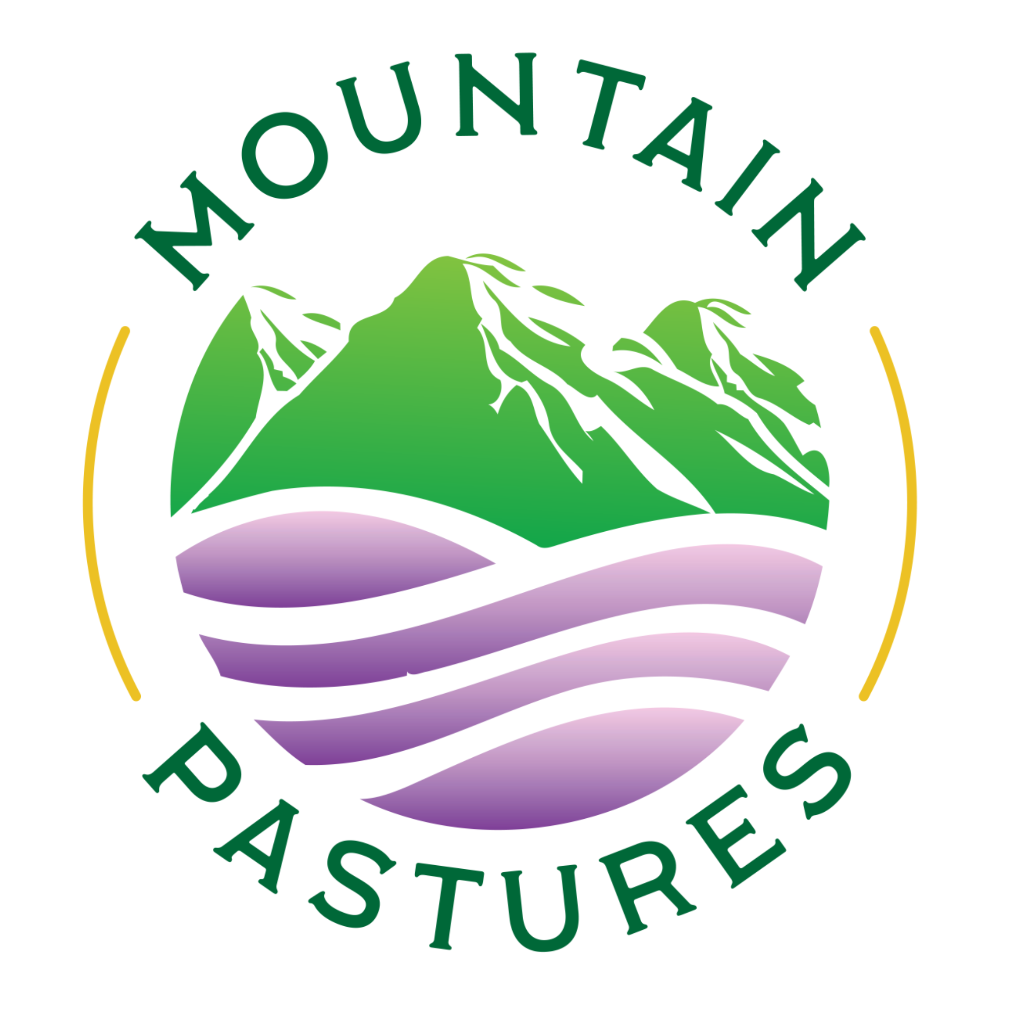 mountain pastures